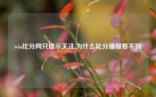 win比分网只提示关注,为什么比分播报看不到