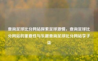 查询足球比分网站探索足球激情，查询足球比分网站的重要性与乐趣查询足球比分网站李子柒