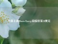 大摩上调Bloom Energy目标价至28美元