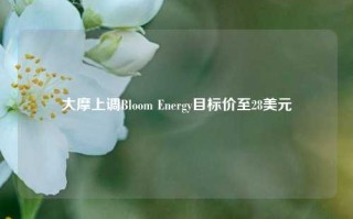 大摩上调Bloom Energy目标价至28美元