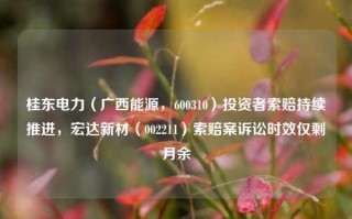 桂东电力（广西能源，600310）投资者索赔持续推进，宏达新材（002211）索赔案诉讼时效仅剩月余