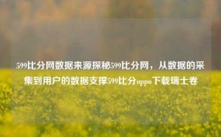 599比分网数据来源探秘599比分网，从数据的采集到用户的数据支撑599比分oppo下载瑞士卷