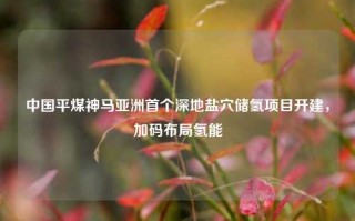 中国平煤神马亚洲首个深地盐穴储氢项目开建，加码布局氢能