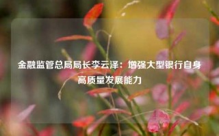 金融监管总局局长李云泽：增强大型银行自身高质量发展能力