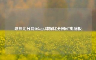 球探比分网007app,球探比分网007电脑板