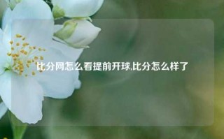 比分网怎么看提前开球,比分怎么样了