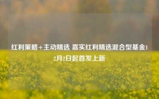 红利策略+主动精选 嘉实红利精选混合型基金12月2日起首发上新