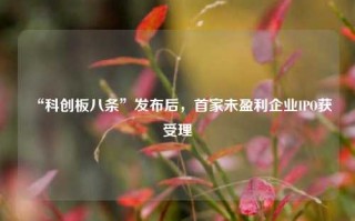 “科创板八条”发布后，首家未盈利企业IPO获受理