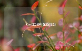 Cncs比分网,在线比分