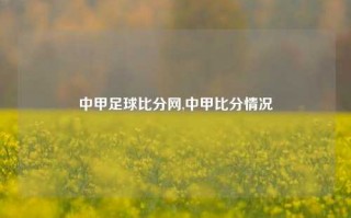 中甲足球比分网,中甲比分情况