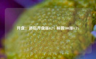 开盘：道指开盘涨0.2% 标普500涨0.1%