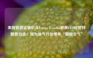 美国管道运输巨头Energy Transfer联席CEO称赞特朗普当选：将为油气行业带来“新鲜空气”