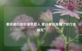 重庆银行股价涨势喜人 累计单日涨幅“双行业领先”