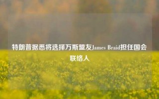 特朗普据悉将选择万斯盟友James Braid担任国会联络人