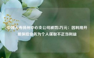 中韩人寿扬州中心支公司被罚5万元：因利用开展保险业务为个人谋取不正当利益