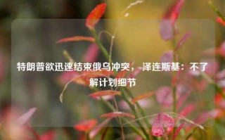 特朗普欲迅速结束俄乌冲突， 泽连斯基：不了解计划细节