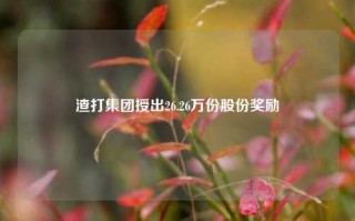 渣打集团授出26.26万份股份奖励