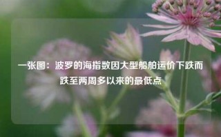 一张图：波罗的海指数因大型船舶运价下跌而跌至两周多以来的最低点