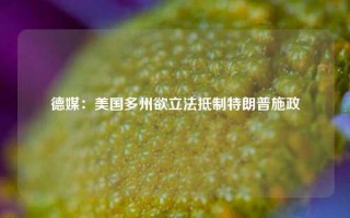 德媒：美国多州欲立法抵制特朗普施政