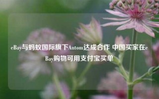 eBay与蚂蚁国际旗下Antom达成合作 中国买家在eBay购物可用支付宝买单