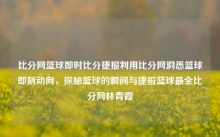 比分网篮球即时比分捷报利用比分网洞悉篮球即刻动向，探秘篮球的瞬间与捷报篮球最全比分网林青霞