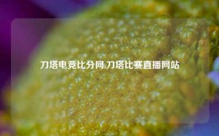 刀塔电竞比分网,刀塔比赛直播网站