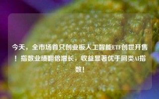 今天，全市场首只创业板人工智能ETF创世开售！指数业绩翻倍增长，收益显著优于同类AI指数！