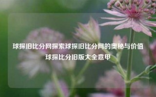 球探旧比分网探索球探旧比分网的奥秘与价值球探比分旧版大全意甲