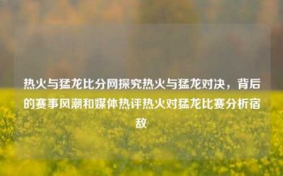 热火与猛龙比分网探究热火与猛龙对决，背后的赛事风潮和媒体热评热火对猛龙比赛分析宿敌