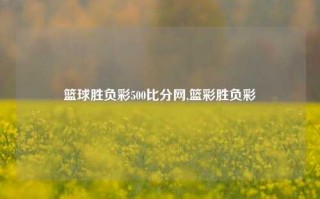 篮球胜负彩500比分网,篮彩胜负彩