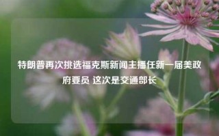 特朗普再次挑选福克斯新闻主播任新一届美政府要员 这次是交通部长