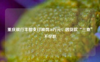 重庆银行丰都支行被罚30万元：因贷款“三查”不尽职