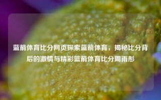 蓝箭体育比分网页探索蓝箭体育，揭秘比分背后的激情与精彩篮箭体育比分周雨彤