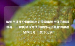 雷速足球比分网即时比分探索雷速足球的精彩世界——解析足球竞技的瞬间与热血瞬间雷速足球比分 下载下元节