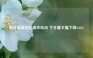 阿什福德信托盘中异动 下午盘大幅下挫5.85%