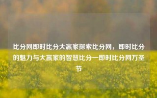 比分网即时比分大赢家探索比分网，即时比分的魅力与大赢家的智慧比分一即时比分网万圣节