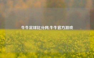 牛牛足球比分网,牛牛官方游戏