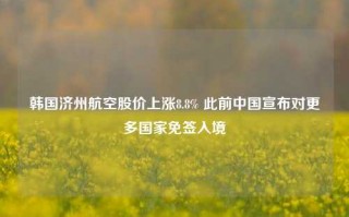 韩国济州航空股价上涨8.8% 此前中国宣布对更多国家免签入境