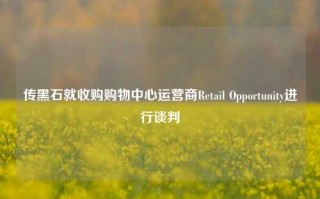 传黑石就收购购物中心运营商Retail Opportunity进行谈判