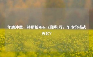 年底冲量，特斯拉Model Y直降1万，车市价格战再起？