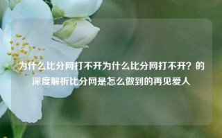 为什么比分网打不开为什么比分网打不开？的深度解析比分网是怎么做到的再见爱人