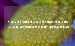 大赢家比分网官方大赢家比分网的妙趣之秘，开扩趣味的世界视窗大赢家比分网官网荣梓杉