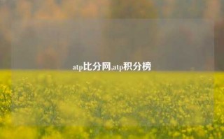 atp比分网,atp积分榜