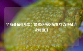 华商基金张永志：财政政策积极发力 支持经济企稳回升