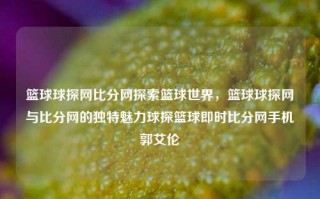 篮球球探网比分网探索篮球世界，篮球球探网与比分网的独特魅力球探篮球即时比分网手机郭艾伦