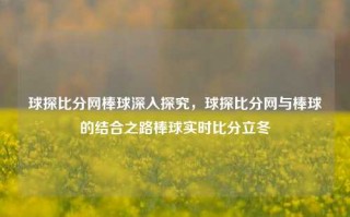 球探比分网棒球深入探究，球探比分网与棒球的结合之路棒球实时比分立冬