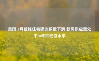 美国10月独栋住宅建造数量下滑 新房供应量处于08年来低位水平