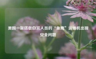 美国一架搭载白宫人员的“鱼鹰”运输机出现安全问题