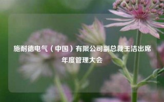 施耐德电气（中国）有限公司副总裁王洁出席年度管理大会