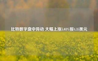 比特数字盘中异动 大幅上涨5.03%报4.35美元